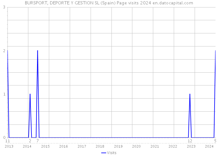 BURSPORT, DEPORTE Y GESTION SL (Spain) Page visits 2024 