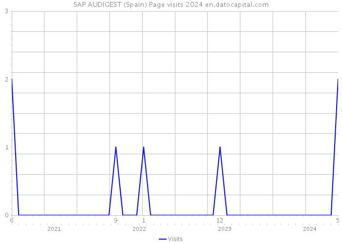 SAP AUDIGEST (Spain) Page visits 2024 