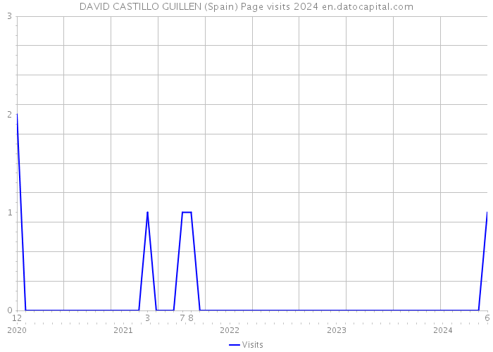 DAVID CASTILLO GUILLEN (Spain) Page visits 2024 