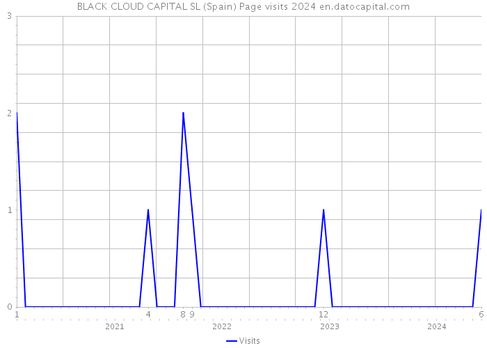 BLACK CLOUD CAPITAL SL (Spain) Page visits 2024 