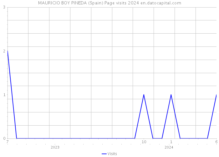 MAURICIO BOY PINEDA (Spain) Page visits 2024 