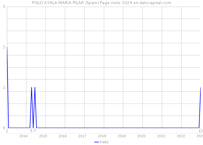 POLO AYALA MARIA PILAR (Spain) Page visits 2024 