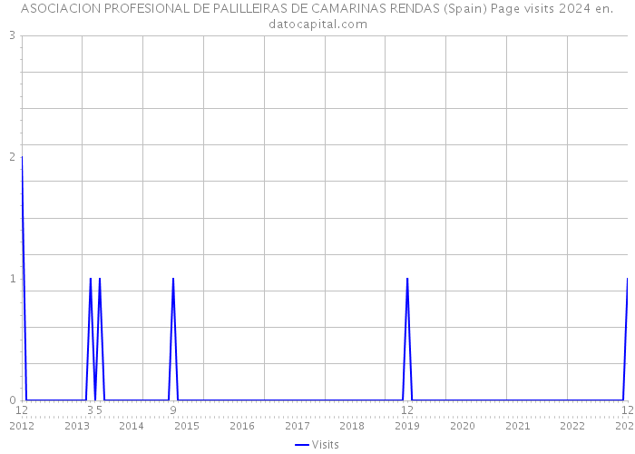 ASOCIACION PROFESIONAL DE PALILLEIRAS DE CAMARINAS RENDAS (Spain) Page visits 2024 