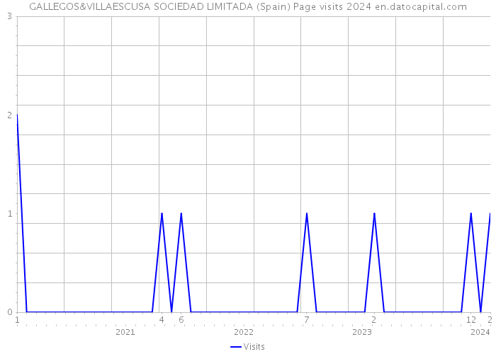 GALLEGOS&VILLAESCUSA SOCIEDAD LIMITADA (Spain) Page visits 2024 