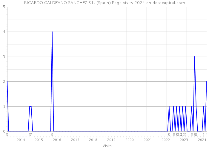 RICARDO GALDEANO SANCHEZ S.L. (Spain) Page visits 2024 