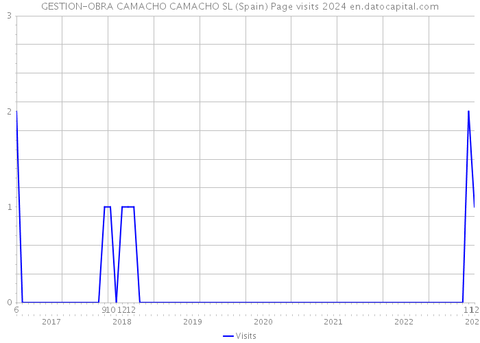 GESTION-OBRA CAMACHO CAMACHO SL (Spain) Page visits 2024 