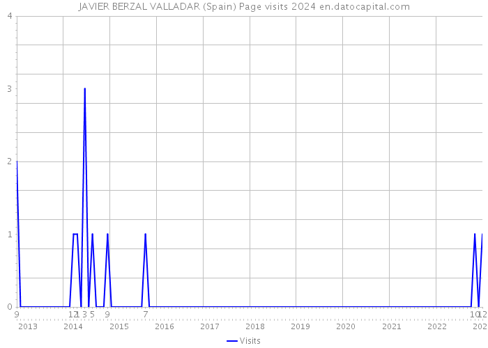 JAVIER BERZAL VALLADAR (Spain) Page visits 2024 