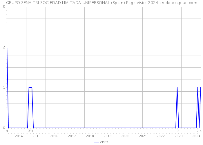 GRUPO ZENA TRI SOCIEDAD LIMITADA UNIPERSONAL (Spain) Page visits 2024 
