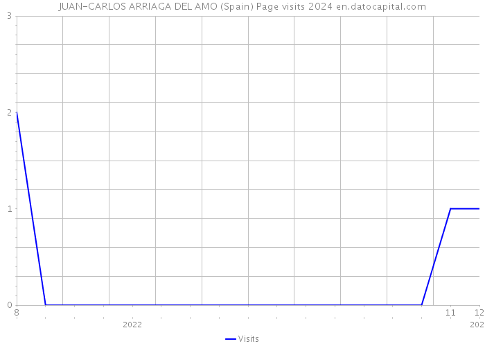 JUAN-CARLOS ARRIAGA DEL AMO (Spain) Page visits 2024 