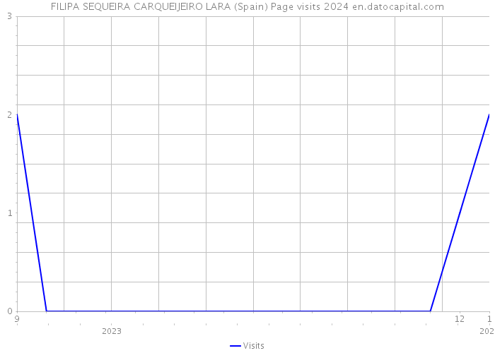 FILIPA SEQUEIRA CARQUEIJEIRO LARA (Spain) Page visits 2024 