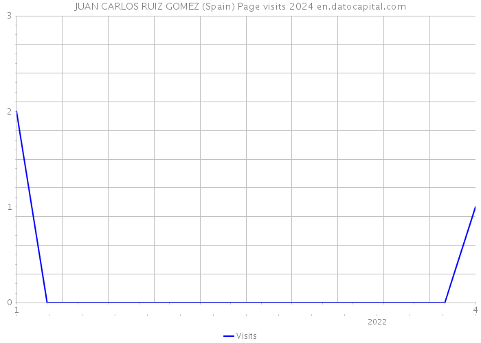 JUAN CARLOS RUIZ GOMEZ (Spain) Page visits 2024 