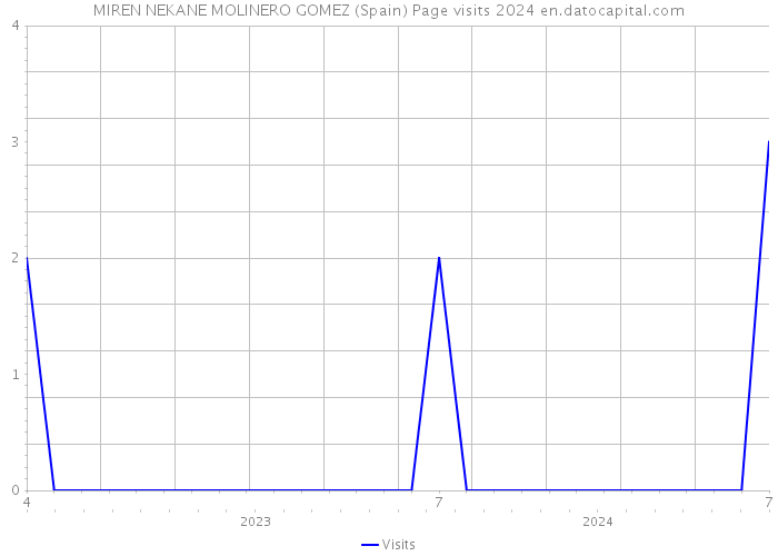 MIREN NEKANE MOLINERO GOMEZ (Spain) Page visits 2024 