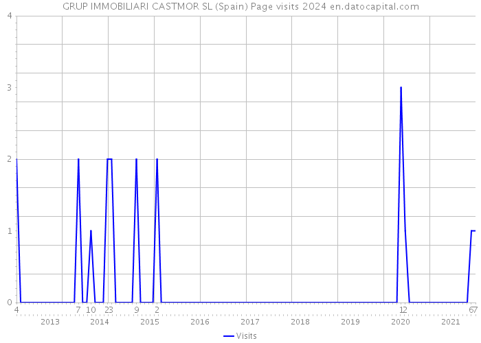 GRUP IMMOBILIARI CASTMOR SL (Spain) Page visits 2024 