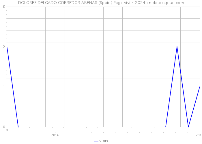 DOLORES DELGADO CORREDOR ARENAS (Spain) Page visits 2024 