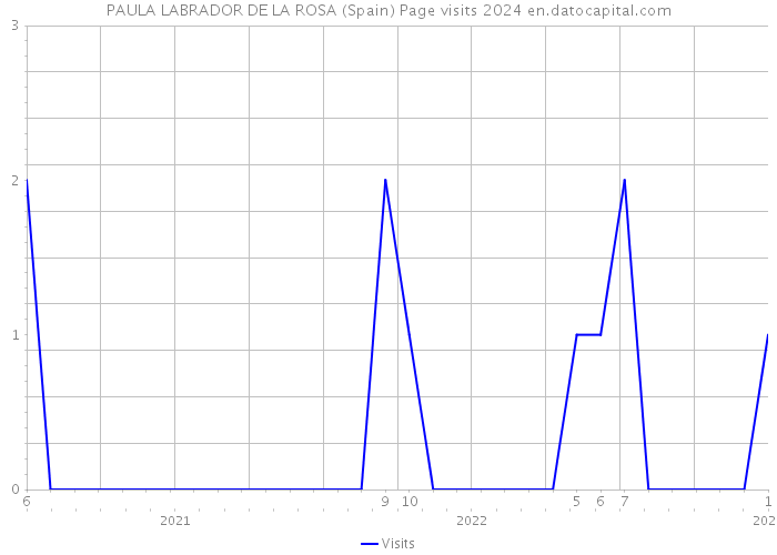 PAULA LABRADOR DE LA ROSA (Spain) Page visits 2024 