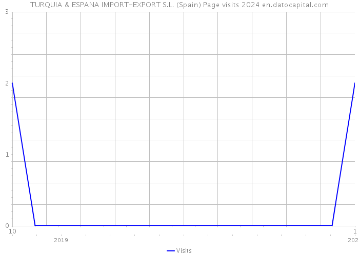 TURQUIA & ESPANA IMPORT-EXPORT S.L. (Spain) Page visits 2024 