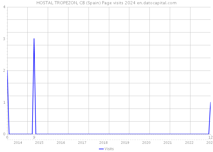 HOSTAL TROPEZON, CB (Spain) Page visits 2024 