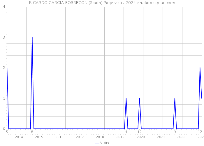 RICARDO GARCIA BORREGON (Spain) Page visits 2024 
