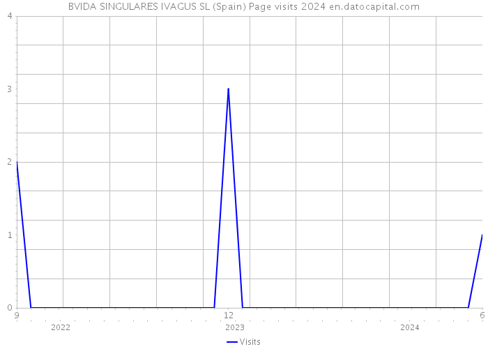 BVIDA SINGULARES IVAGUS SL (Spain) Page visits 2024 
