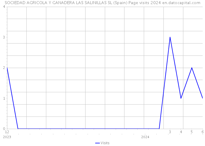 SOCIEDAD AGRICOLA Y GANADERA LAS SALINILLAS SL (Spain) Page visits 2024 
