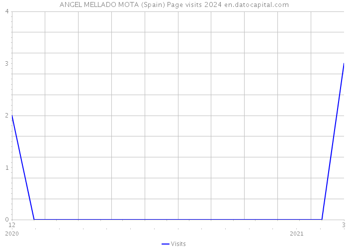 ANGEL MELLADO MOTA (Spain) Page visits 2024 
