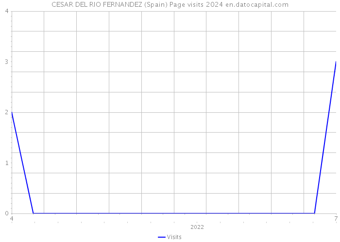 CESAR DEL RIO FERNANDEZ (Spain) Page visits 2024 