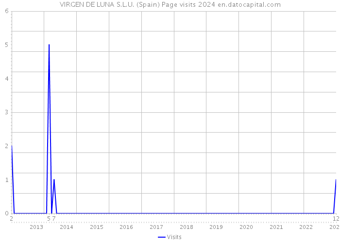 VIRGEN DE LUNA S.L.U. (Spain) Page visits 2024 