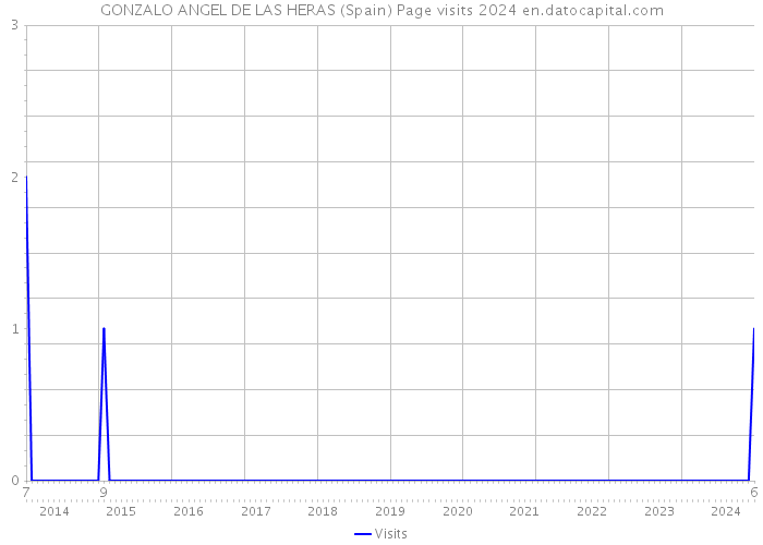 GONZALO ANGEL DE LAS HERAS (Spain) Page visits 2024 