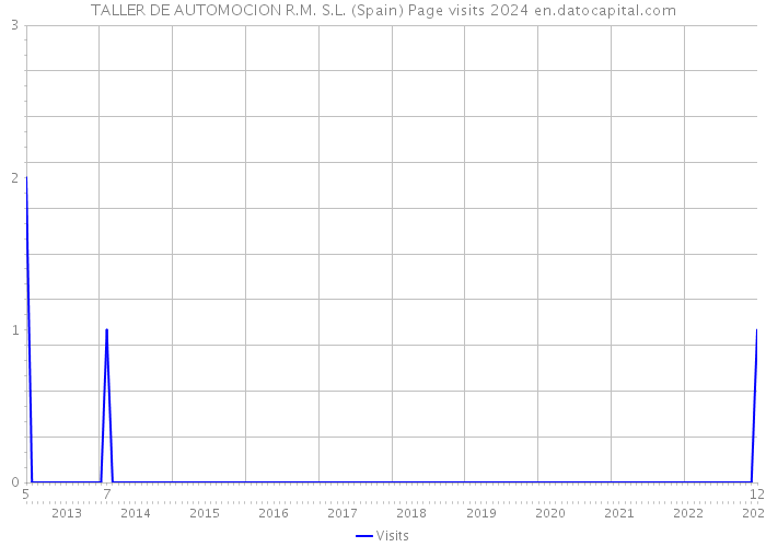 TALLER DE AUTOMOCION R.M. S.L. (Spain) Page visits 2024 