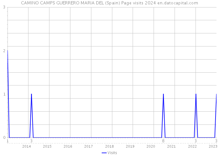 CAMINO CAMPS GUERRERO MARIA DEL (Spain) Page visits 2024 