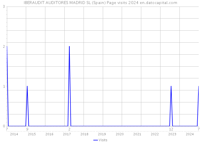 IBERAUDIT AUDITORES MADRID SL (Spain) Page visits 2024 