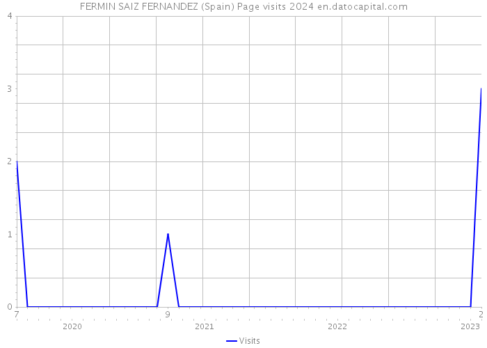 FERMIN SAIZ FERNANDEZ (Spain) Page visits 2024 