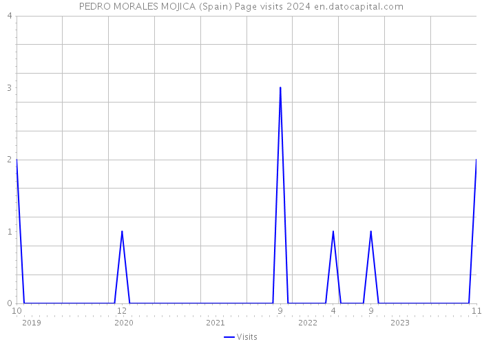 PEDRO MORALES MOJICA (Spain) Page visits 2024 