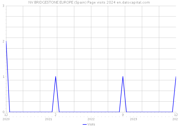 NV BRIDGESTONE EUROPE (Spain) Page visits 2024 