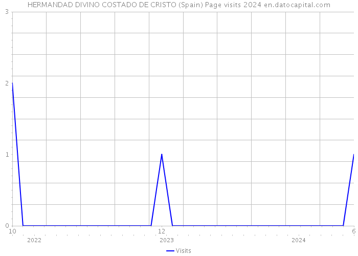 HERMANDAD DIVINO COSTADO DE CRISTO (Spain) Page visits 2024 