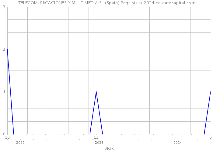 TELECOMUNICACIONES Y MULTIMEDIA SL (Spain) Page visits 2024 