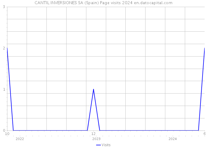 CANTIL INVERSIONES SA (Spain) Page visits 2024 