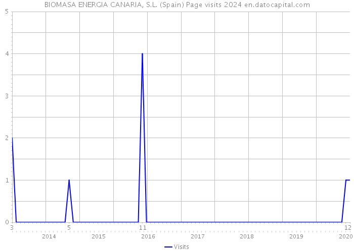 BIOMASA ENERGIA CANARIA, S.L. (Spain) Page visits 2024 