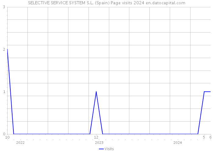 SELECTIVE SERVICE SYSTEM S.L. (Spain) Page visits 2024 