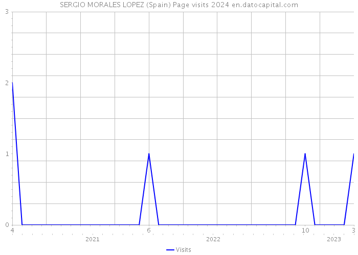 SERGIO MORALES LOPEZ (Spain) Page visits 2024 