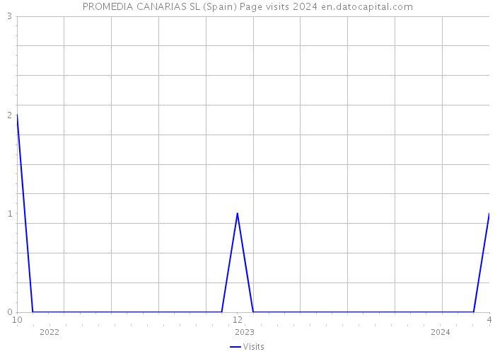 PROMEDIA CANARIAS SL (Spain) Page visits 2024 
