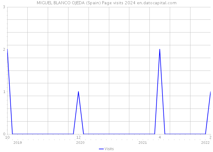 MIGUEL BLANCO OJEDA (Spain) Page visits 2024 