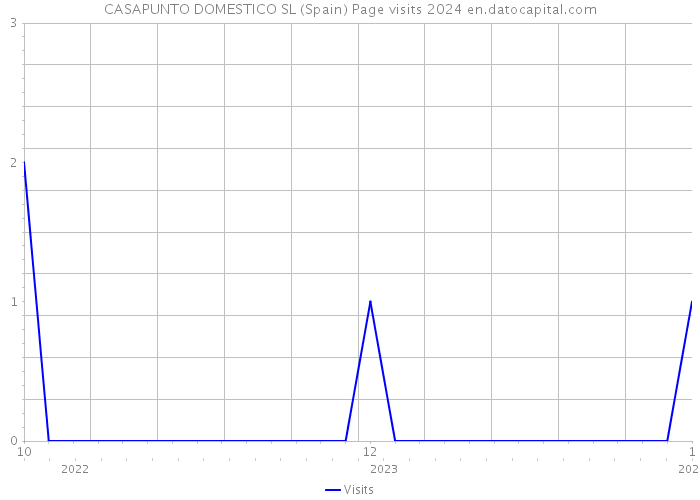 CASAPUNTO DOMESTICO SL (Spain) Page visits 2024 