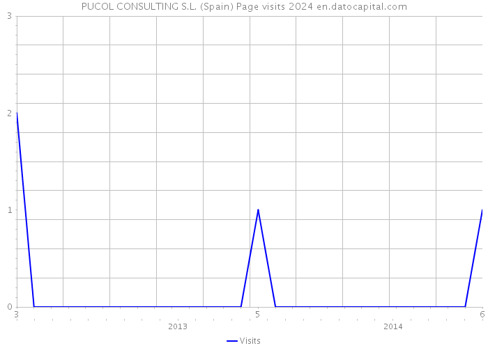 PUCOL CONSULTING S.L. (Spain) Page visits 2024 