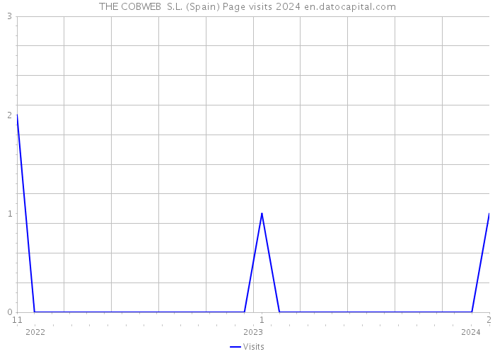 THE COBWEB S.L. (Spain) Page visits 2024 