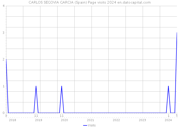 CARLOS SEGOVIA GARCIA (Spain) Page visits 2024 