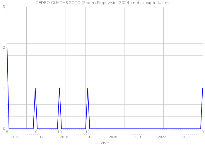 PEDRO GUADAS SOTO (Spain) Page visits 2024 