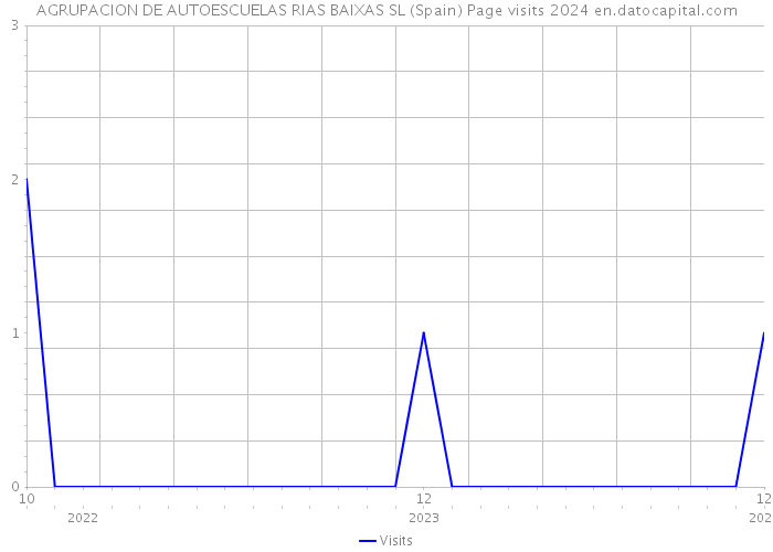 AGRUPACION DE AUTOESCUELAS RIAS BAIXAS SL (Spain) Page visits 2024 