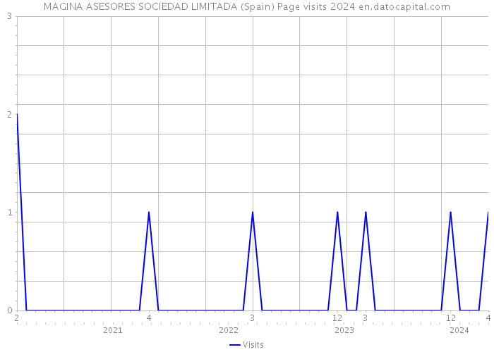 MAGINA ASESORES SOCIEDAD LIMITADA (Spain) Page visits 2024 