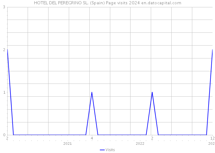 HOTEL DEL PEREGRINO SL. (Spain) Page visits 2024 
